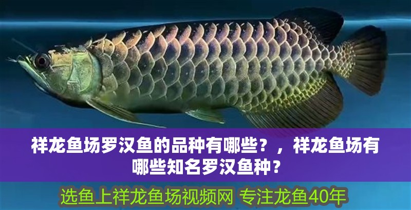 祥龍魚場羅漢魚的品種有哪些？，祥龍魚場有哪些知名羅漢魚種？