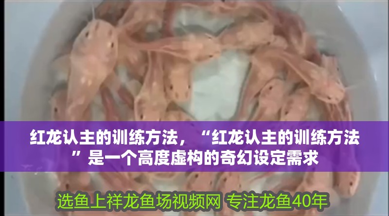 紅龍認主的訓練方法，“紅龍認主的訓練方法”是一個高度虛構的奇幻設定需求