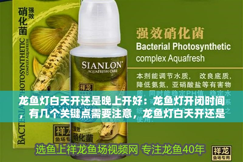 龍魚燈白天開還是晚上開好：龍魚燈開閉時間，有幾個關鍵點需要注意，龍魚燈白天開還是晚上開好