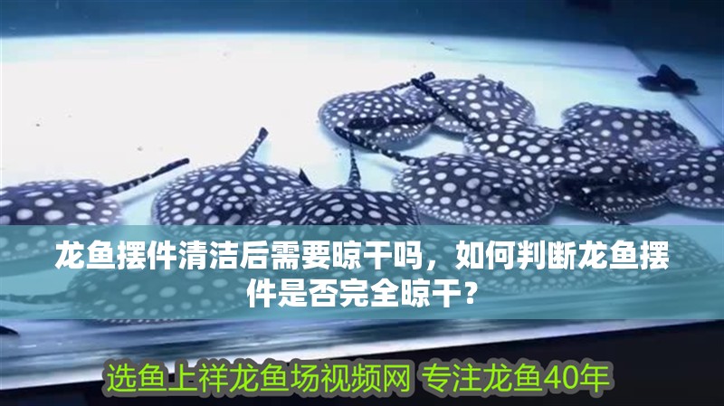 龍魚擺件清潔后需要晾干嗎，如何判斷龍魚擺件是否完全晾干？