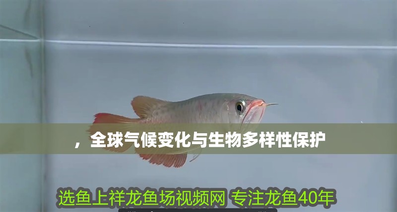 ，全球氣候變化與生物多樣性保護(hù)