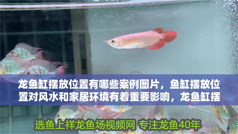 龍魚缸擺放位置有哪些案例圖片，魚缸擺放位置對風水和家居環境有著重要影響，龍魚缸擺放風水講究