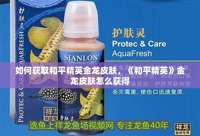 如何獲取和平精英金龍皮膚，《和平精英》金龍皮膚怎么獲得 如何獲取和平精英金龍皮膚，《和平精英》金龍皮膚怎么獲得 龍魚百科