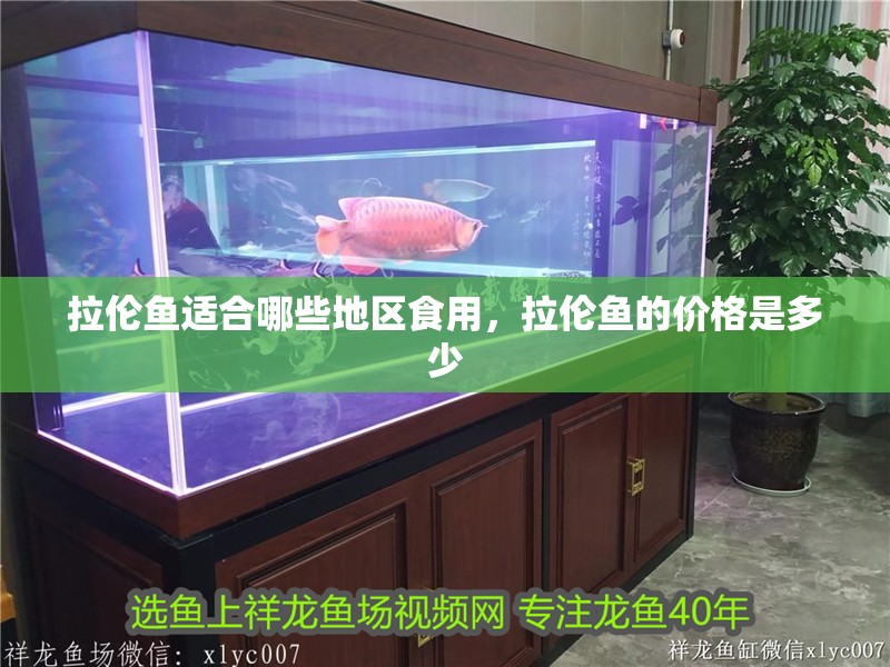 拉倫魚適合哪些地區食用，拉倫魚的價格是多少