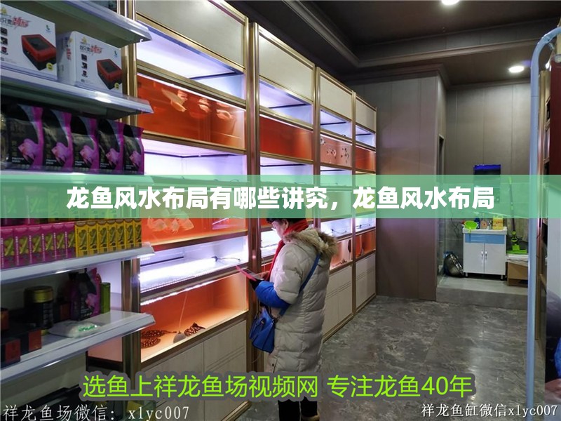 龍魚風水布局有哪些講究，龍魚風水布局