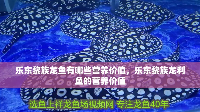 樂東黎族龍魚有哪些營養價值，樂東黎族龍利魚的營養價值