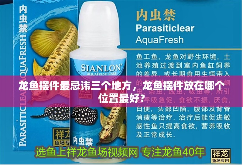 龍魚擺件最忌諱三個地方，龍魚擺件放在哪個位置最好？