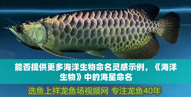 能否提供更多海洋生物命名靈感示例，《海洋生物》中的海星命名