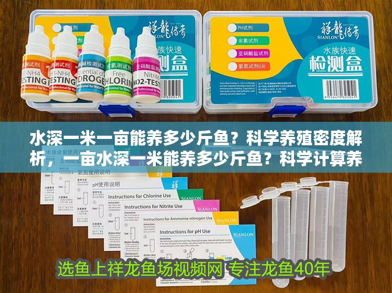 水深一米一畝能養(yǎng)多少斤魚？科學(xué)養(yǎng)殖密度解析，一畝水深一米能養(yǎng)多少斤魚？科學(xué)計算養(yǎng)殖密度與產(chǎn)量 水深一米一畝能養(yǎng)多少斤魚？科學(xué)養(yǎng)殖密度解析，一畝水深一米能養(yǎng)多少斤魚？科學(xué)計算養(yǎng)殖密度與產(chǎn)量 龍魚百科 第1張