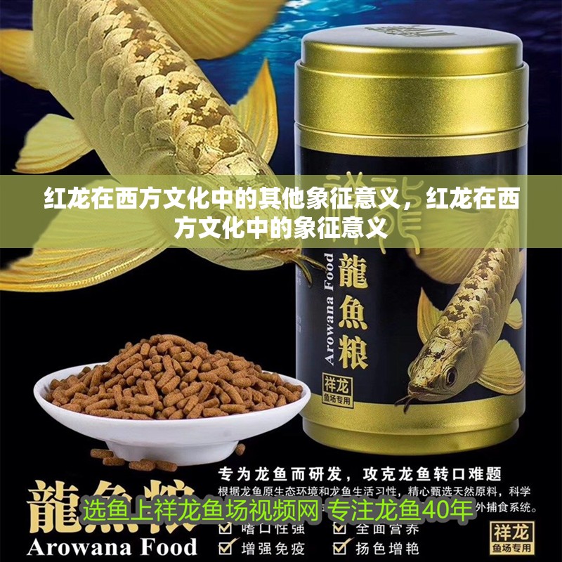 魚缸用增氧泵價(jià)格是多少:魚缸增氧機(jī)-xtrac增氧機(jī)-xtrac增氧機(jī) 紅龍?jiān)谖鞣轿幕械钠渌笳饕饬x,紅龍?jiān)谖鞣轿幕械南笳饕饬x 龍魚百科 紅龍?jiān)谖鞣轿幕械钠渌笳饕饬x,紅龍?jiān)谖鞣轿幕械南笳饕饬x 紅龍?jiān)谖鞣轿幕械钠渌笳饕饬x,紅龍?jiān)谖鞣轿幕械南笳饕饬x 龍魚百科