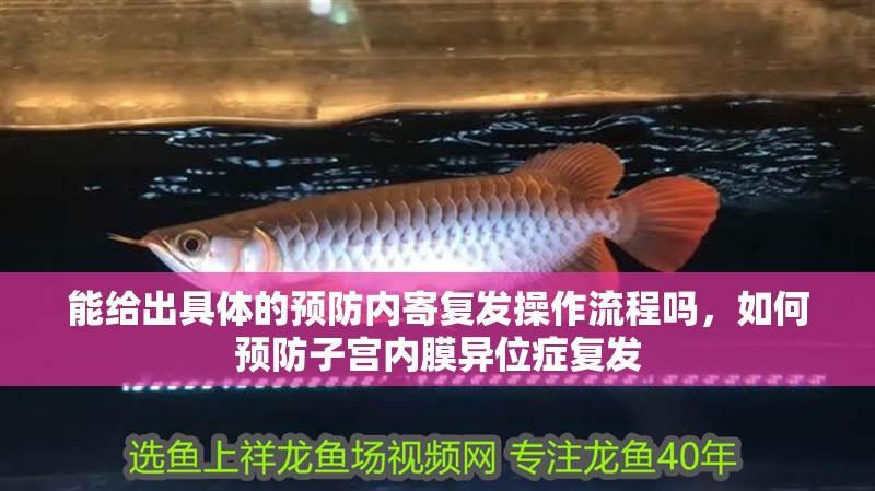 魚缸過濾器選購指南:自制魚缸過濾器魚缸上置過濾器對于養魚愛好者的必備知識 能給出具體的預防內寄復發操作流程嗎,如何預防子宮內膜異位癥復發 龍魚百科 能給出具體的預防內寄復發操作流程嗎,如何預防子宮內膜異位癥復發 能給出具體的預防內寄復發操作流程嗎,如何預防子宮內膜異位癥復發 龍魚百科