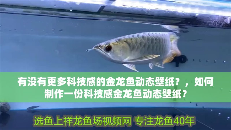 有沒有更多科技感的金龍魚動(dòng)態(tài)壁紙？，如何制作一份科技感金龍魚動(dòng)態(tài)壁紙？