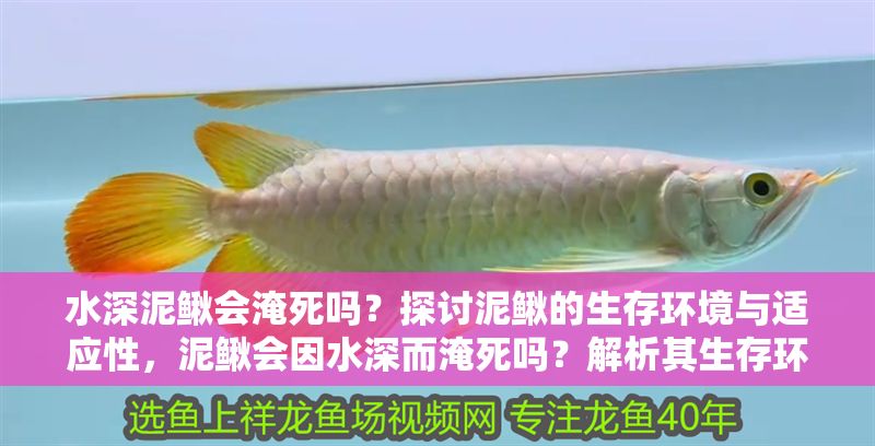 水深泥鰍會淹死嗎？探討泥鰍的生存環(huán)境與適應性，泥鰍會因水深而淹死嗎？解析其生存環(huán)境與適應能力