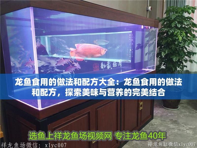龍魚食用的做法和配方大全：龍魚食用的做法和配方，探索美味與營養的完美結合