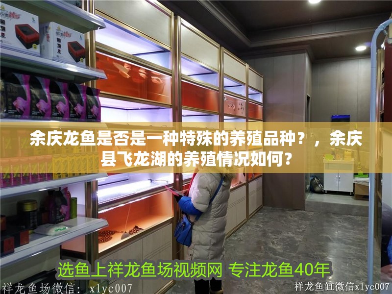 余慶龍魚是否是一種特殊的養(yǎng)殖品種？，余慶縣飛龍湖的養(yǎng)殖情況如何？