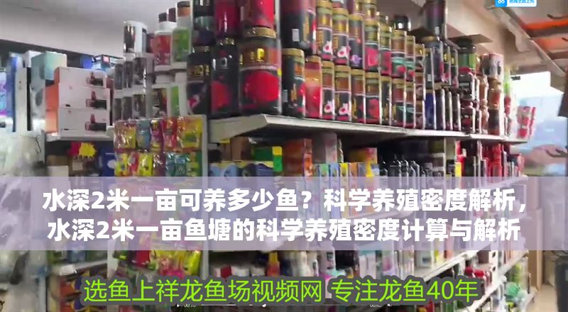 水深2米一畝可養多少魚？科學養殖密度解析，水深2米一畝魚塘的科學養殖密度計算與解析