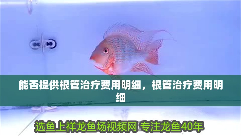 能否提供根管治療費用明細，根管治療費用明細 能否提供根管治療費用明細，根管治療費用明細 龍魚百科