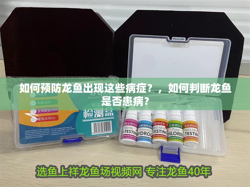 如何預(yù)防龍魚出現(xiàn)這些病癥？，如何判斷龍魚是否患病？