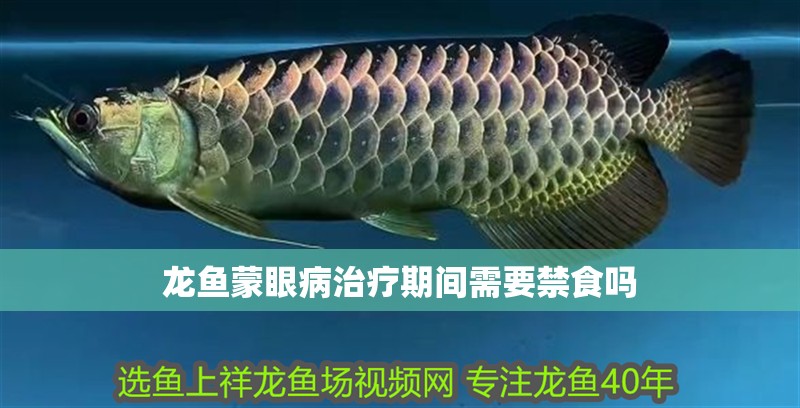 龍魚蒙眼病治療期間需要禁食嗎
