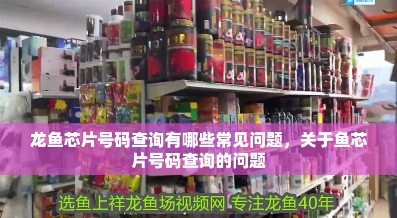 龍魚芯片號碼查詢有哪些常見問題，關(guān)于魚芯片號碼查詢的問題