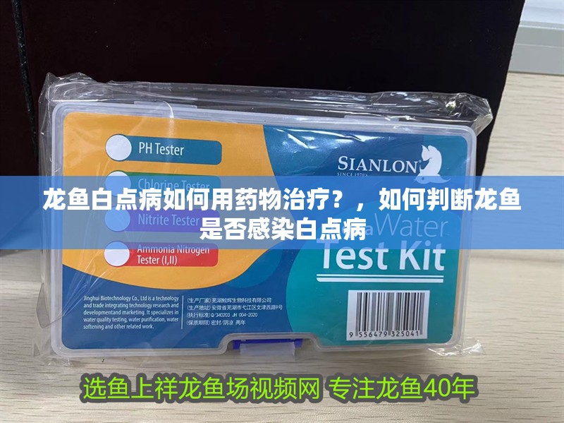 龍魚白點病如何用藥物治療？，如何判斷龍魚是否感染白點病 龍魚白點病如何用藥物治療？，如何判斷龍魚是否感染白點病 龍魚百科