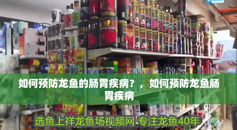 如何預(yù)防龍魚(yú)的腸胃疾病？，如何預(yù)防龍魚(yú)腸胃疾病