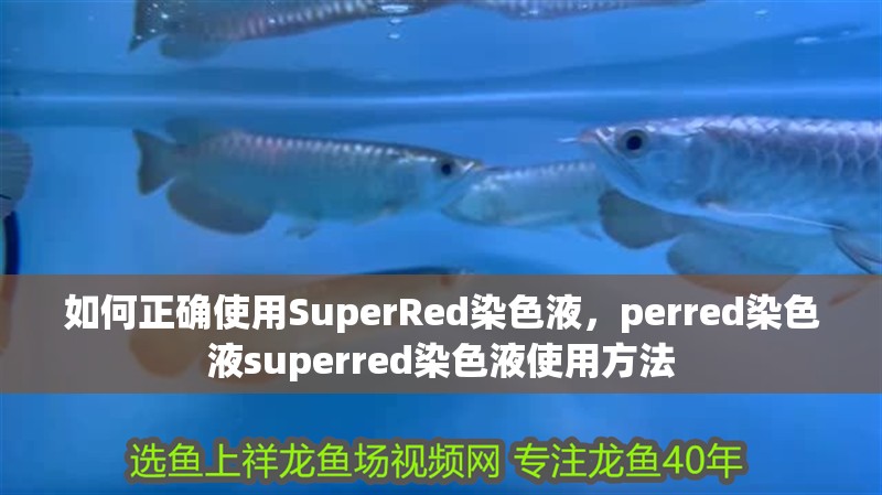如何正確使用SuperRed染色液，perred染色液superred染色液使用方法