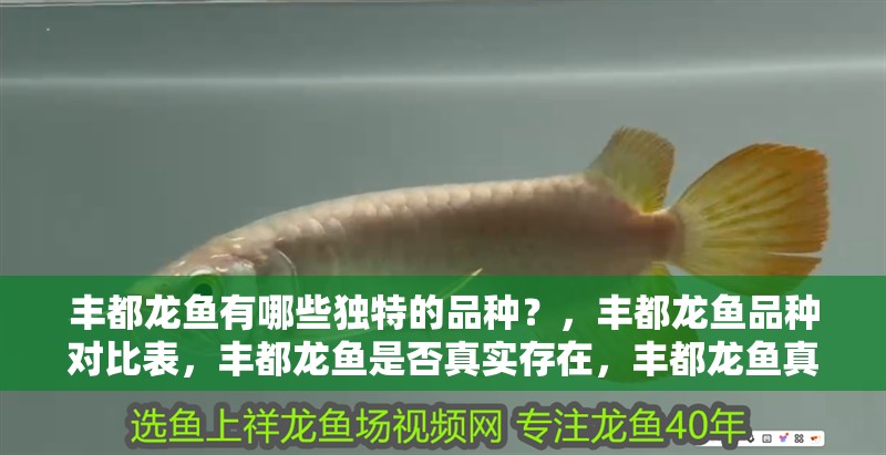 豐都龍魚有哪些獨特的品種？，豐都龍魚品種對比表，豐都龍魚是否真實存在，豐都龍魚真實存在