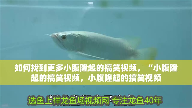 如何找到更多小腹隆起的搞笑視頻，“小腹隆起的搞笑視頻，小腹隆起的搞笑視頻