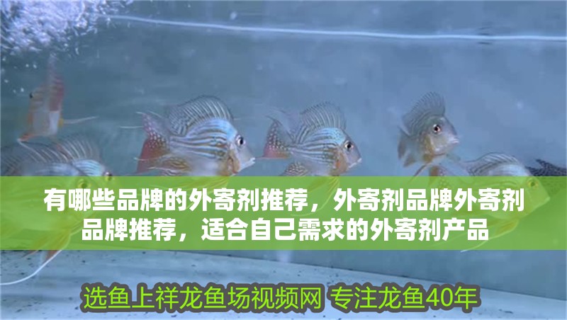 有哪些品牌的外寄劑推薦，外寄劑品牌外寄劑品牌推薦，適合自己需求的外寄劑產品