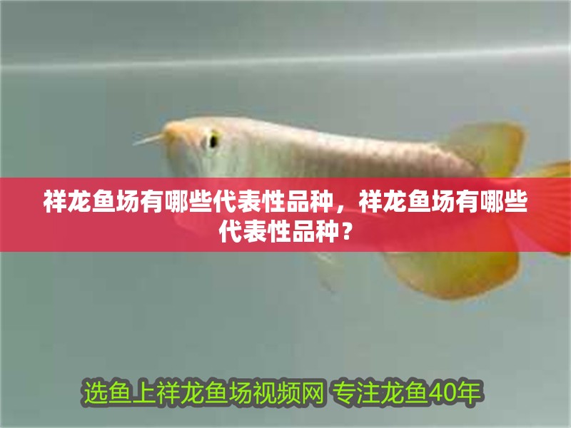祥龍魚場有哪些代表性品種，祥龍魚場有哪些代表性品種？