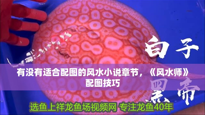 有沒有適合配圖的風水小說章節，《風水師》配圖技巧