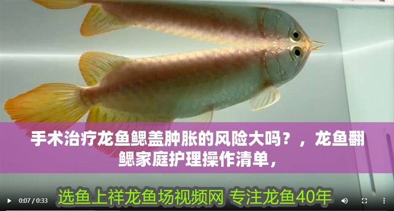 手術(shù)治療龍魚(yú)鰓蓋腫脹的風(fēng)險(xiǎn)大嗎？，龍魚(yú)翻鰓家庭護(hù)理操作清單，