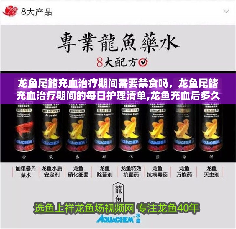 龍魚尾鰭充血治療期間需要禁食嗎，龍魚尾鰭充血治療期間的每日護(hù)理清單,龍魚充血后多久會(huì)恢復(fù)