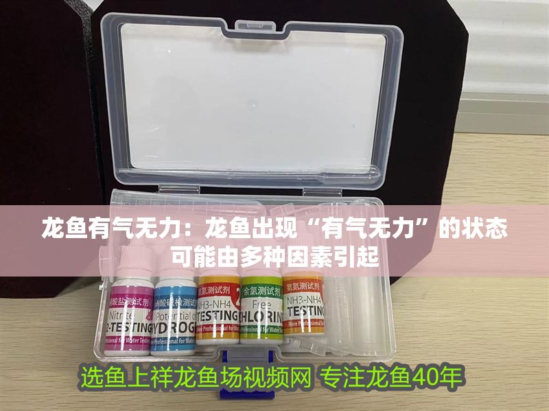 龍魚有氣無力：龍魚出現(xiàn)“有氣無力”的狀態(tài)可能由多種因素引起 龍魚有氣無力：龍魚出現(xiàn)“有氣無力”的狀態(tài)可能由多種因素引起 龍魚百科 第2張