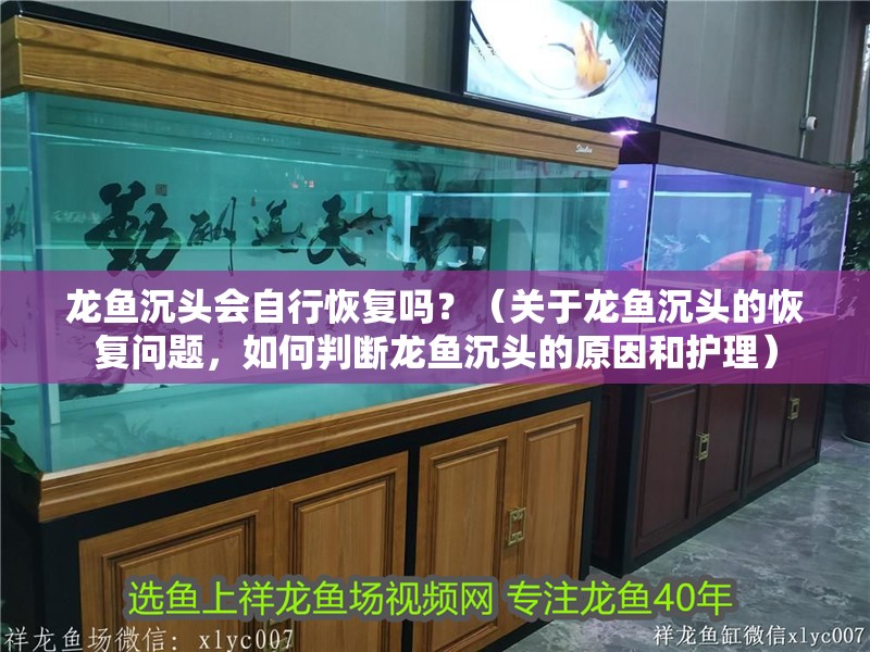 龍魚沉頭會(huì)自行恢復(fù)嗎？（關(guān)于龍魚沉頭的恢復(fù)問題，如何判斷龍魚沉頭的原因和護(hù)理）