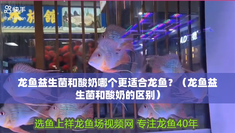 龍魚益生菌和酸奶哪個更適合龍魚？（龍魚益生菌和酸奶的區別）