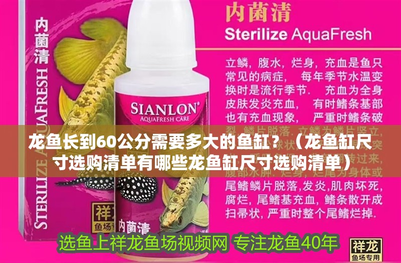 龍魚長到60公分需要多大的魚缸？（龍魚缸尺寸選購清單有哪些龍魚缸尺寸選購清單）