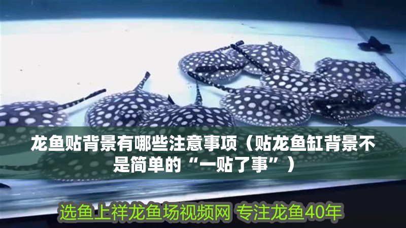 龍魚貼背景有哪些注意事項（貼龍魚缸背景不是簡單的“一貼了事”）