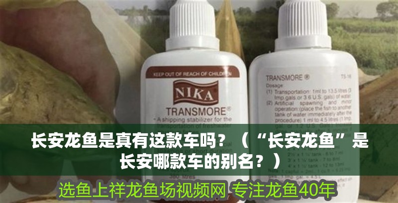 長安龍魚是真有這款車嗎？（“長安龍魚”是長安哪款車的別名？）