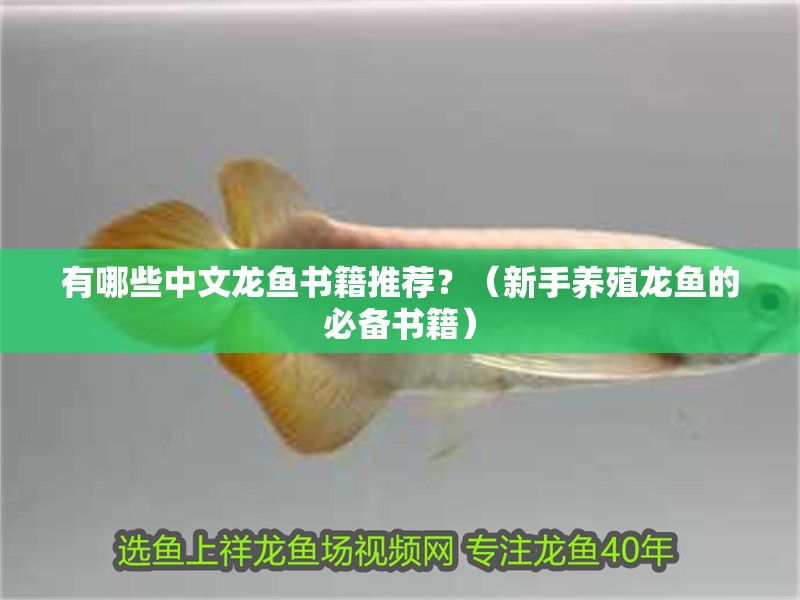 有哪些中文龍魚書籍推薦？（新手養(yǎng)殖龍魚的必備書籍）