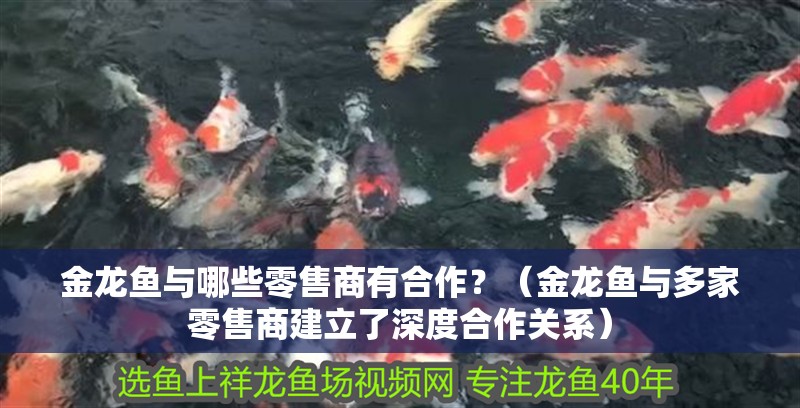 金龍魚與哪些零售商有<strong><mark>合作</mark></strong>？（金龍魚與多家零售商建立了深度<strong><mark>合作</mark></strong>關(guān)系）