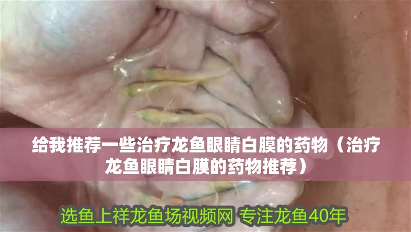 給我推薦一些治療龍魚眼睛白膜的藥物（治療龍魚眼睛白膜的藥物推薦）