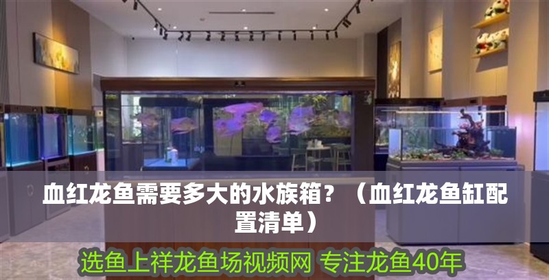 血紅龍魚需要多大的水族箱？（血紅龍魚缸配置清單） 血紅龍魚需要多大的水族箱？（血紅龍魚缸配置清單） 龍魚百科