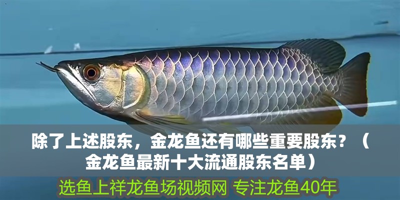 除了上述股東，金龍魚還有哪些重要股東？（金龍魚最新十大流通股東名單）