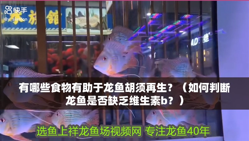 有哪些食物有助于龍魚胡須再生？（如何判斷龍魚是否缺乏維生素b？）