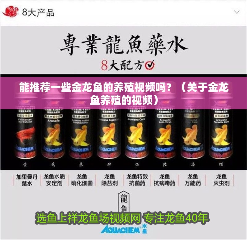 能推薦一些金龍魚的養(yǎng)殖視頻嗎？（關(guān)于金龍魚養(yǎng)殖的視頻）