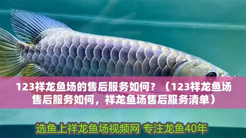 123祥龍魚(yú)場(chǎng)的售后服務(wù)如何？（123祥龍魚(yú)場(chǎng)售后服務(wù)如何，祥龍魚(yú)場(chǎng)售后服務(wù)清單）