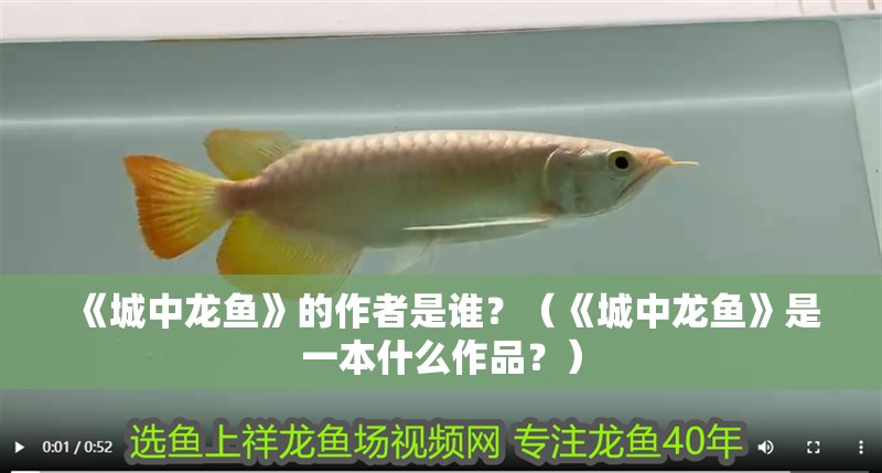 《城中龍魚》的作者是誰(shuí)？（《城中龍魚》是一本什么作品？）