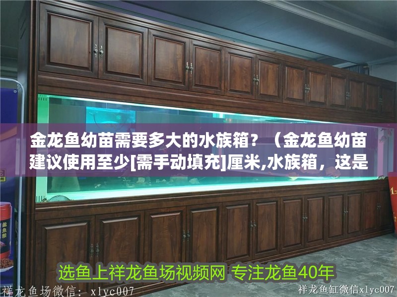 金龍魚幼苗需要多大的水族箱？（金龍魚幼苗建議使用至少[需手動填充]厘米,水族箱，這是保障其健康生長和體型發育的黃金標準）